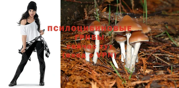 сатива Белоозёрский
