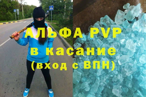 сатива Белоозёрский
