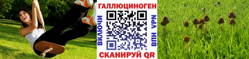 Псилоцибиновые грибы MAGIC MUSHROOMS Обь